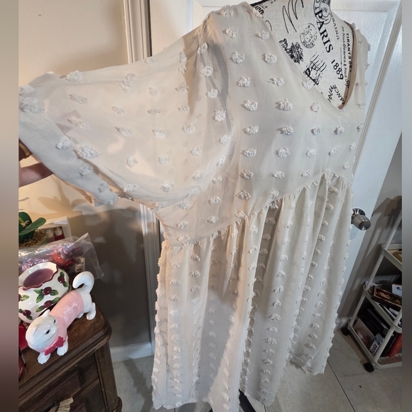 Zenana Swiss Dot Babydoll V-Neck Dress - Picture 3 of 8